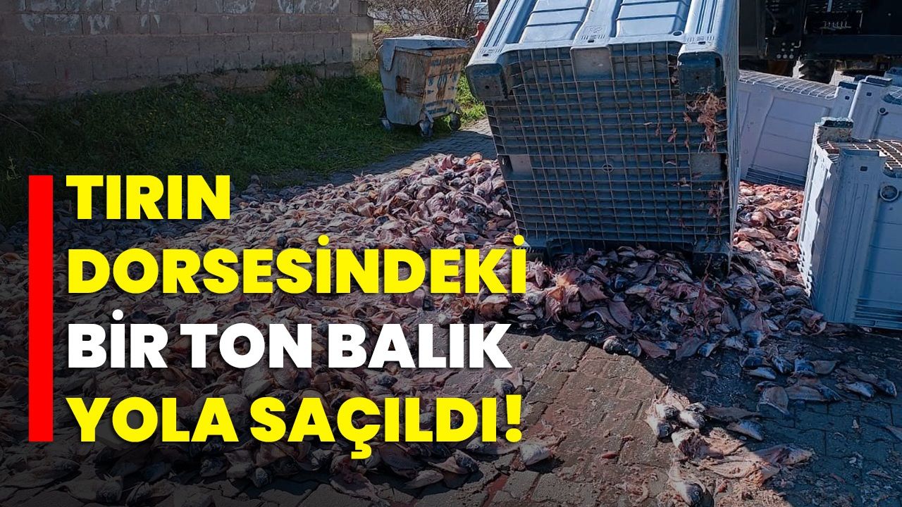 T R N Dorsesindeki Bir Ton Bal K Yola Sa Ld Afyon Haber Odak