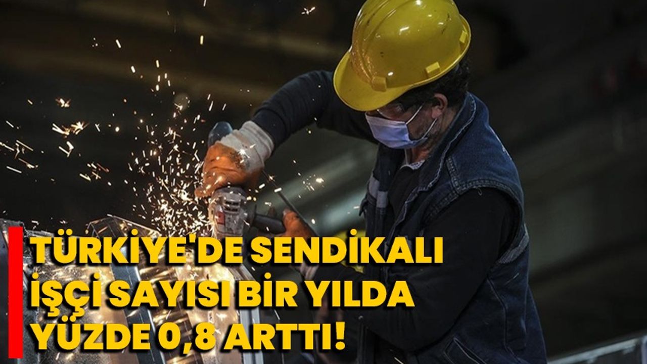 Türkiye'de sendikalı işçi sayısı bir yılda yüzde 0,8 arttı