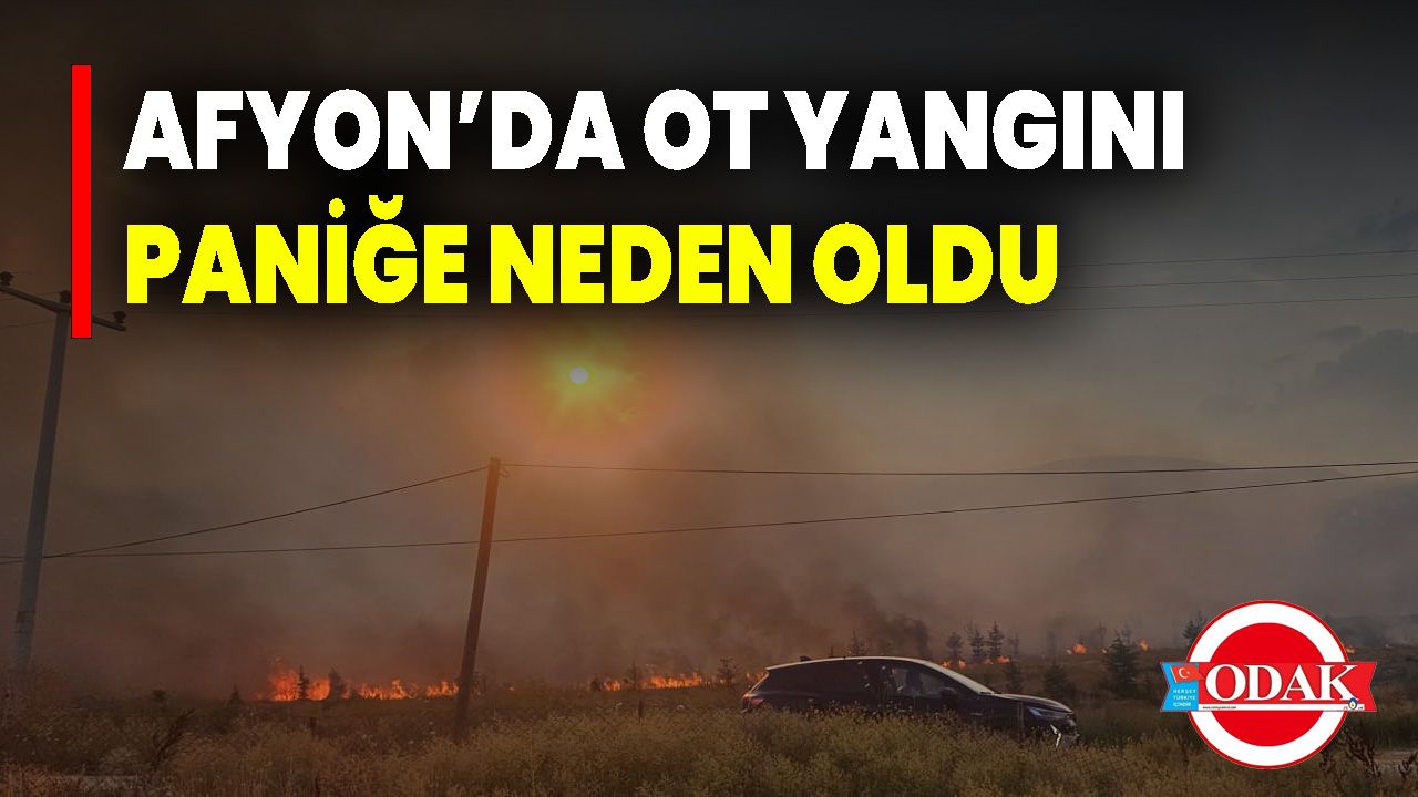 Afyon’da Ot Yangını Paniğe Neden Oldu