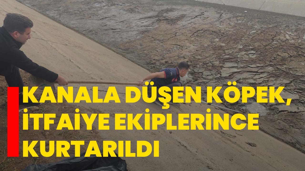 Kanala düşen köpek, itfaiye ekiplerince kurtarıldı