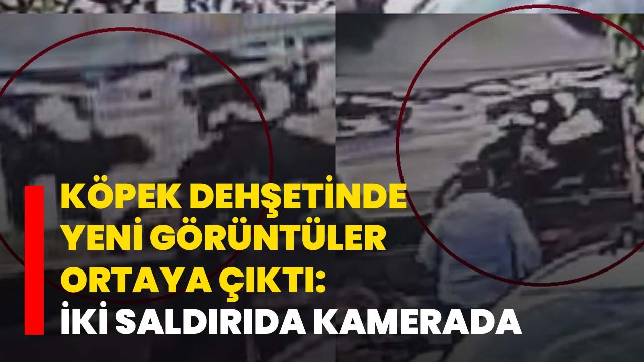 Köpek dehşetinde yeni görüntüler ortaya çıktı: İki saldırıda kamerada