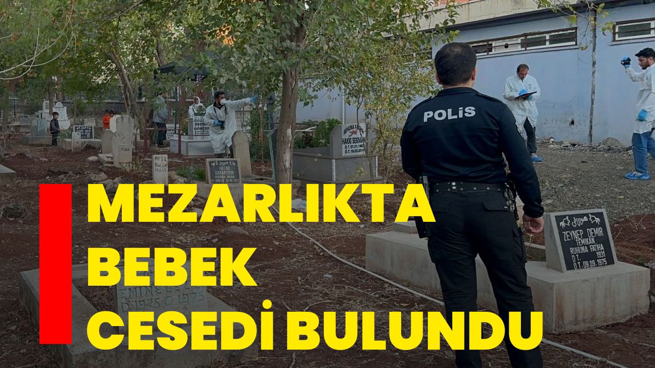 Mezarlıkta bebek cesedi bulundu