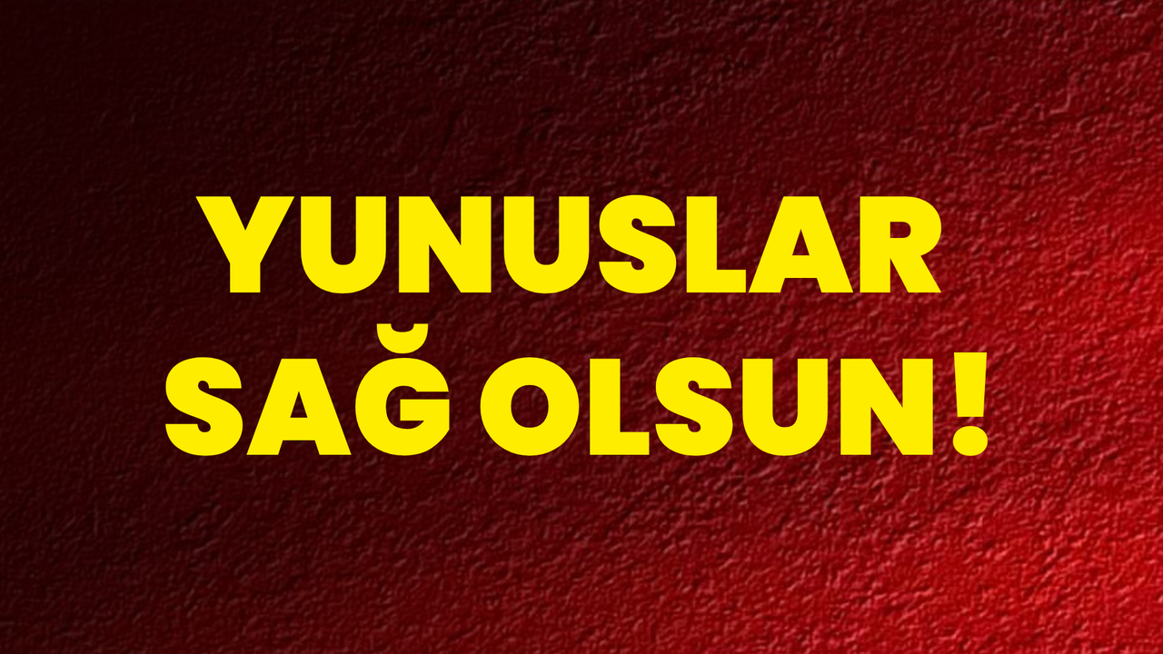 Yunuslar Sağ Olsun!
