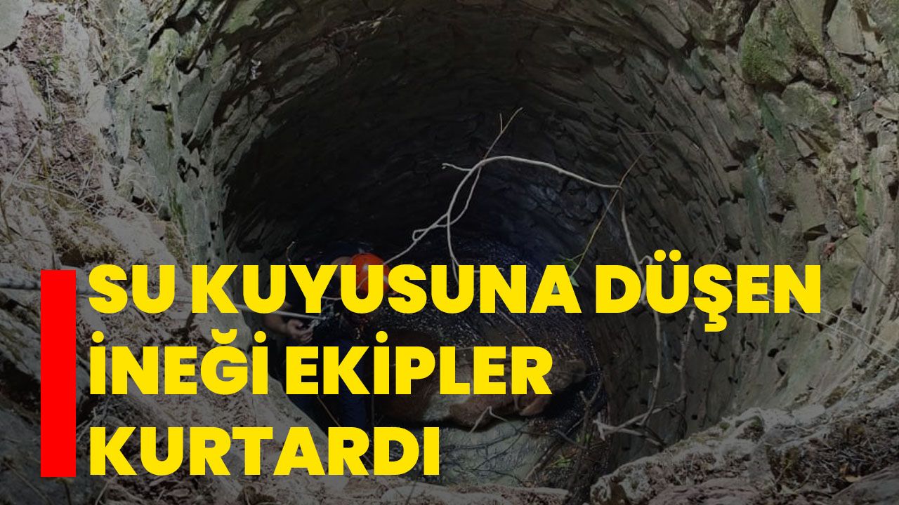 Su kuyusuna düşen ineği ekipler kurtardı