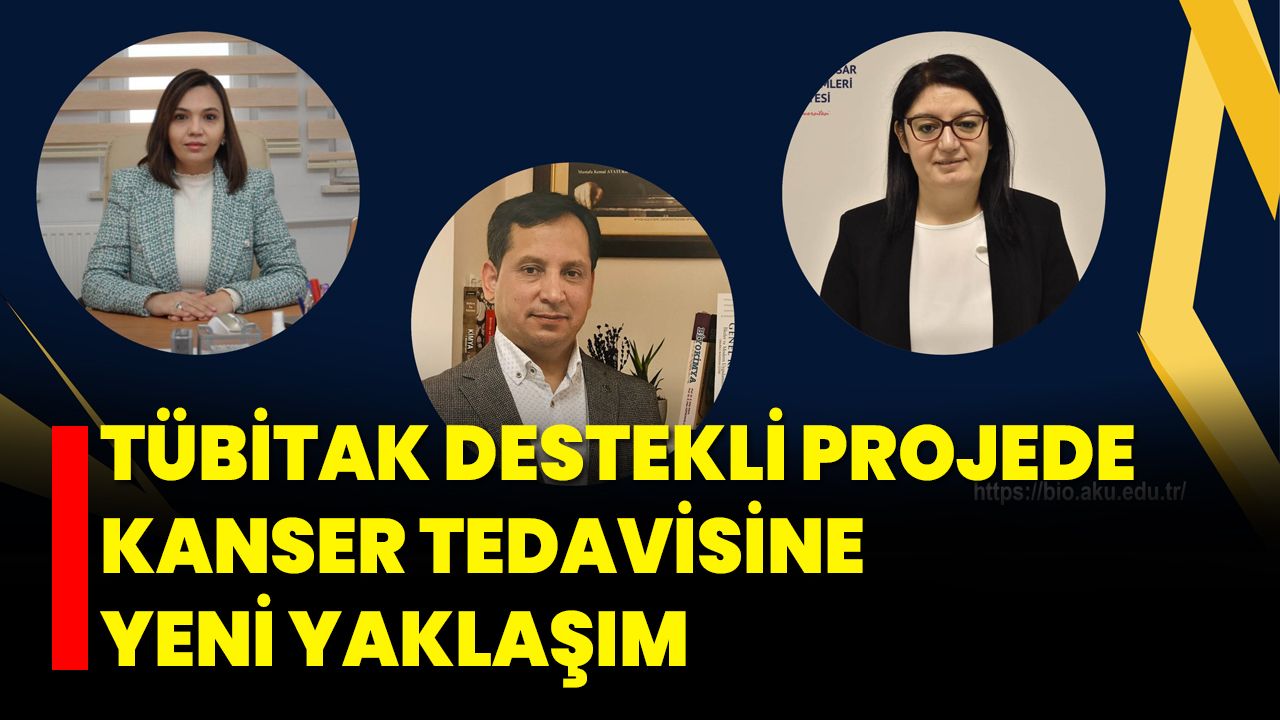 TÜBİTAK Destekli Projede Kanser Tedavisine Yeni Yaklaşım