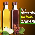 İşte sirkenin bilinmeyen zararları!