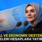 Sosyal ve Ekonomik Destek ödemeleri hesaplara yatırıldı mı?