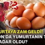 Yumurtaya zam geldi! Afyon’da yumurtanın tanesi ne kadar oldu?