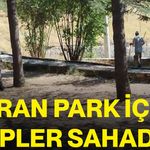Horan Park için ekipler sahada
