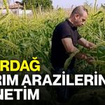 Emirdağ tarım arazilerinde denetim