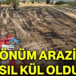 7 dönüm arazi nasıl kül oldu?