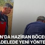 Afyon’da haziran böceğiyle mücadelede yeni yöntem