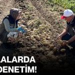Tarlalarda sıkı denetim!