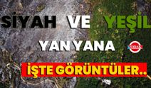 Siyah Ve Yeşil Yan Yana