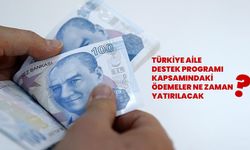 Türkiye Aile Destek Programı kapsamındaki ödemeler ne zaman yatırılacak?