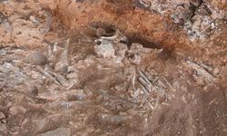 9 milyon yıl öncesine ait ne bulundu?