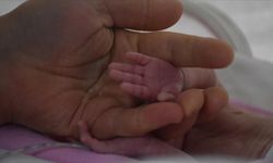 1 yılda kaç prematüre bebek doğdu?