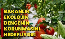 Bakanlık, Ekolojik Dengenin Korunmasını Hedefliyor!