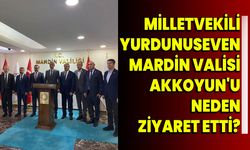 Milletvekili Yurdunuseven, Mardin Valisi Akkoyun'u neden ziyaret etti?