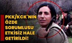 PKK/KCK'nın sözde sorumlusu etkisiz hale getirildi!