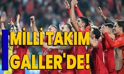 Milli Takım Galler'de