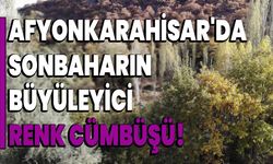 Afyonkarahisar'da Sonbaharın Büyüleyici Renk Cümbüşü!