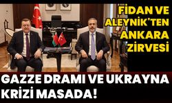 "Fidan ve Aleynik'ten Ankara Zirvesi: Gazze Dramı ve Ukrayna Krizi Masada"
