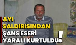 Ayı saldırısından şans eseri yaralı kurtuldu