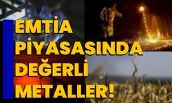 Emtia piyasasında değerli metaller