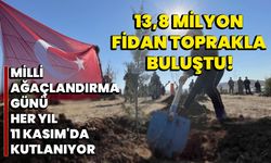 Milli Ağaçlandırma Günü her yıl 11 Kasım'da Kutlanıyor: 13,8 Milyon Fidan Toprakla Buluştu