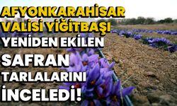 Afyonkarahisar Valisi Yiğitbaşı, yeniden ekilen safran tarlalarını inceledi!