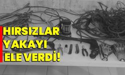 Hırsızlar yakayı ele verdi!