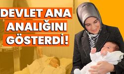 Devlet Ana Analığını Gösterdi!