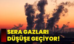 Sera Gazları Düşüşe Geçiyor