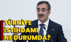Türkiye istihdamı ne durumda?