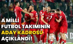 A Milli Futbol Takımının Aday Kadrosu açıklandı!