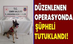 Düzenlenen operasyonda şüpheli tutuklandı