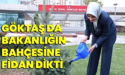 Göktaş da bakanlığın bahçesine fidan dikti