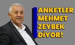 Anketler Mehmet Zeybek diyor!