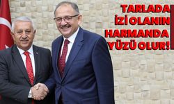 Tarlada izi olanın harmanda yüzü olur!