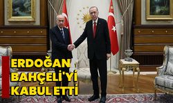 Erdoğan, Bahçeli'yi kabul etti