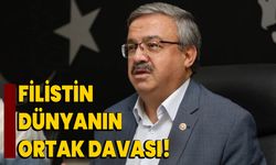 Filistin, dünyanın ortak davası