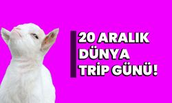 20 Aralık Dünya Trip Günü!