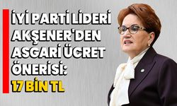 İYİ Parti Lideri Akşener'den Asgari Ücret Önerisi: 17 bin TL