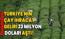 Türkiye'nin Çay İhracat Geliri 23 Milyon Doları Aştı