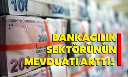 Bankacılık sektörünün mevduatı arttı!