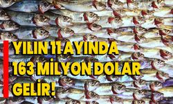 Yılın 11 Ayında 163 Milyon Dolar Gelir!