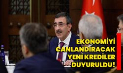 Ekonomiyi Canlandıracak Yeni Krediler Duyuruldu!