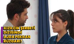 Kızılcık Şerbeti dizisinde Ajda Pekkan rüzgarı!