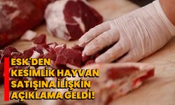 ESK'den kesimlik hayvan satışına ilişkin açıklama geldi!